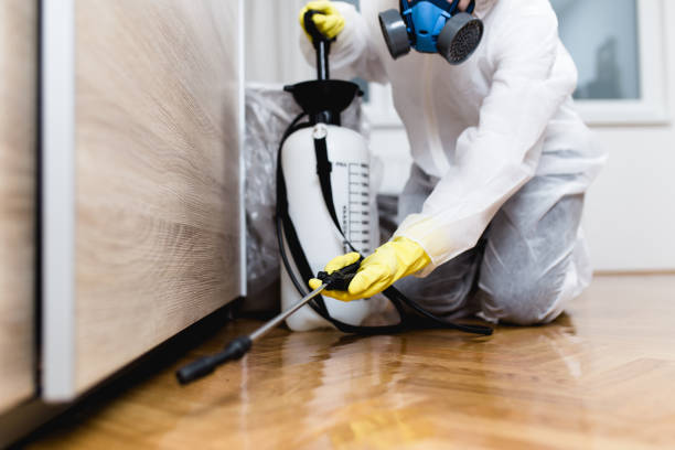 Best Best Pest Control Companies  in Lac Du Flambeau, WI
