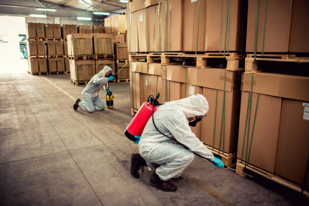 Best Emergency Pest Control  in Lac Du Flambeau, WI