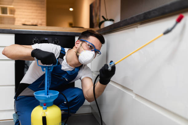 Reliable Lac Du Flambeau, WI Pest Control Solutions