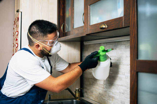 Best Mosquito Control Services  in Lac Du Flambeau, WI