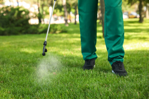 Best Affordable Pest Control Services  in Lac Du Flambeau, WI