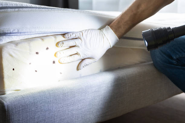 Pest Prevention Services in Lac Du Flambeau, WI