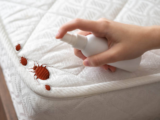 Best Cockroach Control Services  in Lac Du Flambeau, WI